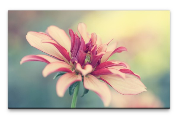 Bilder XXL Blütenblätter rosa Wandbild auf Leinwand