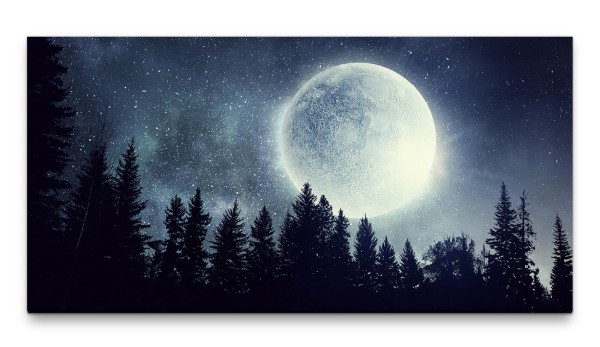 Bilder XXL Imposanter Vollmond 50x100cm Wandbild auf Leinwand