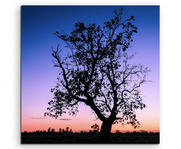 Landschaftsfotografie – Baum vor Abendhimmel, Thailand auf Leinwand