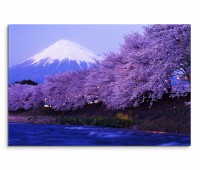 120x80cm Wandbild Fuji Schnee See Kirschbäume Abendlicht