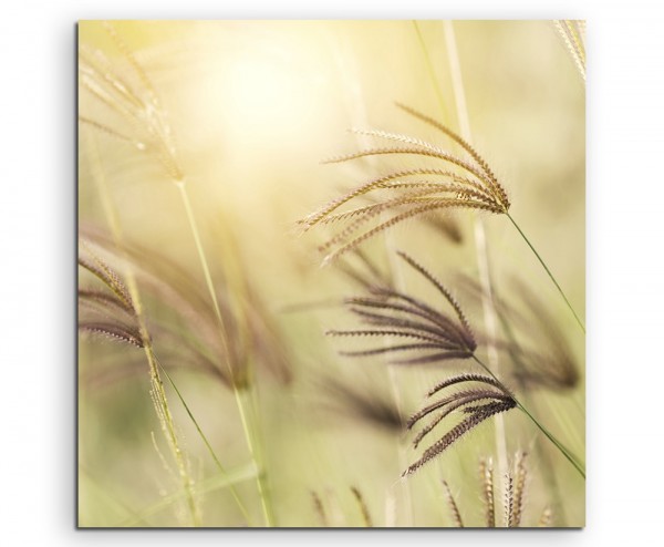 Naturfotografie Grashalme im Wind auf Leinwand exklusives Wandbild moderne Fotografie für ihre Wan