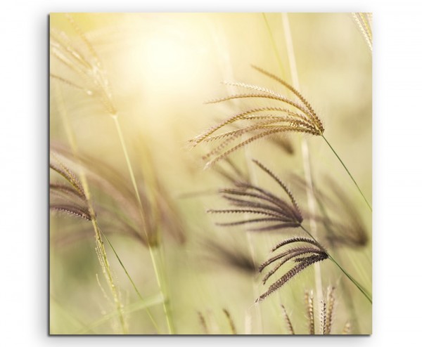 Naturfotografie  Grashalme im Wind auf Leinwand exklusives Wandbild moderne Fotografie für ihre Wan