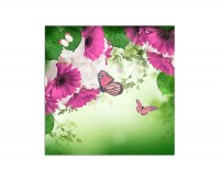 80x80cm Gerbera Gänseblümchen Schmetterlinge