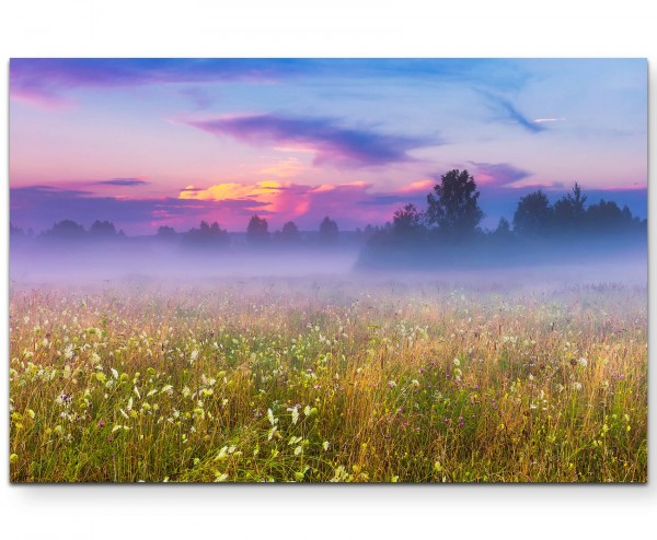 Neblige Wiese im Sommer - Leinwandbild