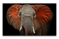 Bilder XXL Großer Elefant Wandbild auf Leinwand