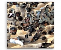 Naturfotografie – Holz und Muscheln am Strand auf Leinwand