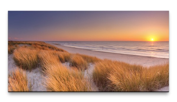 Bilder XXL Dünen am Strand 50x100cm Wandbild auf Leinwand