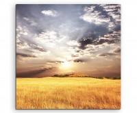 Landschaftsfotografie – Gold gelbes Weizenfeld im Sonnenschein auf Leinwand