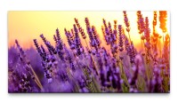 Bilder XXL Lavendelstengel 50x100cm Wandbild auf Leinwand