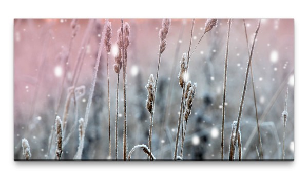 Bilder XXL Winterähren 50x100cm Wandbild auf Leinwand