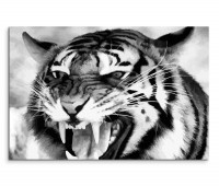 120x80cm Wandbild Tiger Gebrüll Nahaufnahme schwarz weiß