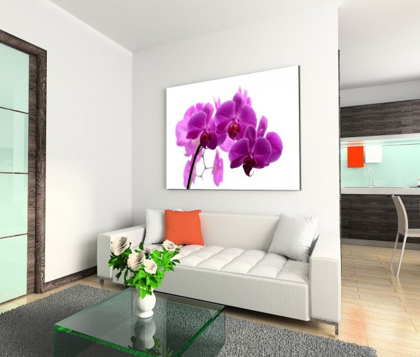 120x80cm Wandbild Orchidee Blume Blüte Nahaufnahme