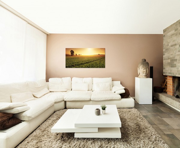 120x60cm Australien Feld Wiese Sonnenaufgang