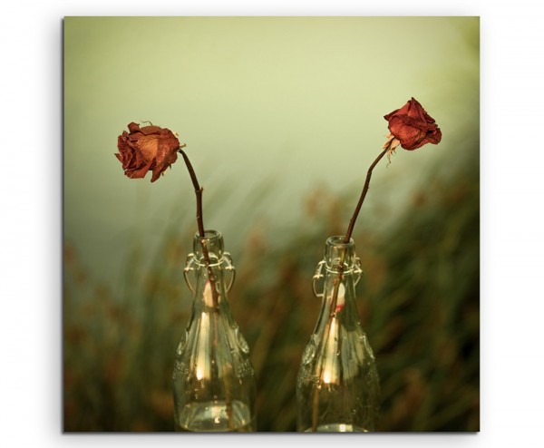 Künstlerische Fotografie – Zwei Rosen in Glasvasen auf Leinwand
