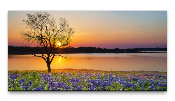 Bilder XXL Baum im Blumenmeer 50x100cm Wandbild auf Leinwand