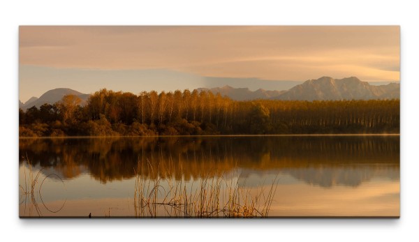 Bilder XXL Wasserspiegelung mit Bäumen 50x100cm Wandbild auf Leinwand