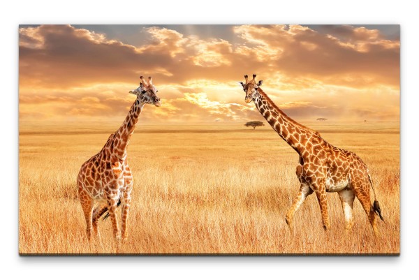 Bilder XXL Giraffen in Afrika Wandbild auf Leinwand