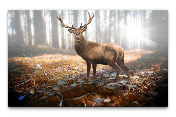 Bilder XXL Majestetischer Rehbock Wandbild auf Leinwand