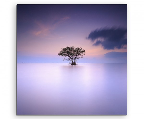 Landschaftsfotografie  Einsamer Baum im Nebel auf Leinwand exklusives Wandbild moderne Fotografie f