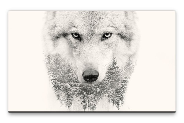 Bilder XXL Weisser Wolf Wandbild auf Leinwand