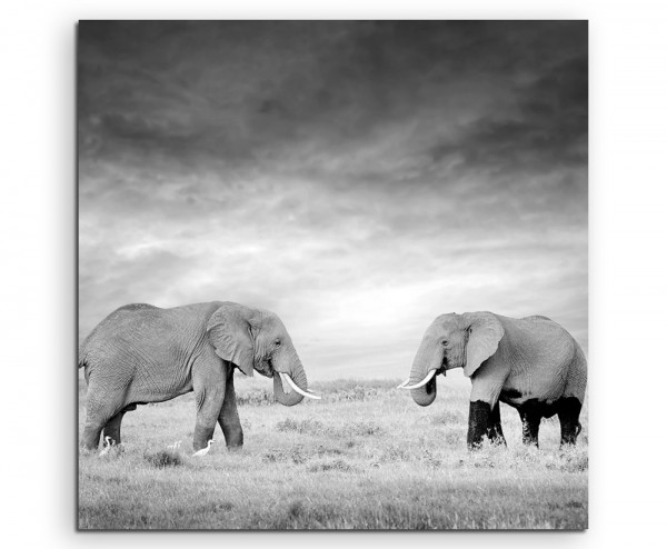 Naturfotografie – Zwei Elefanten in der Wildnis, Kenia, Afrika auf Leinwand