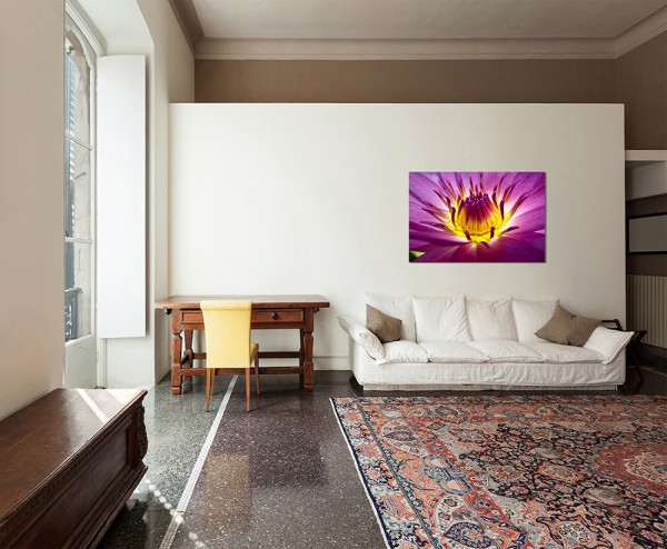 120x80cm Lotus Blüte Pflanze Nahaufnahme