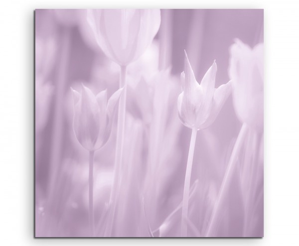 Künstlerische Fotografie – Rosa pastell Tulpen auf Leinwand