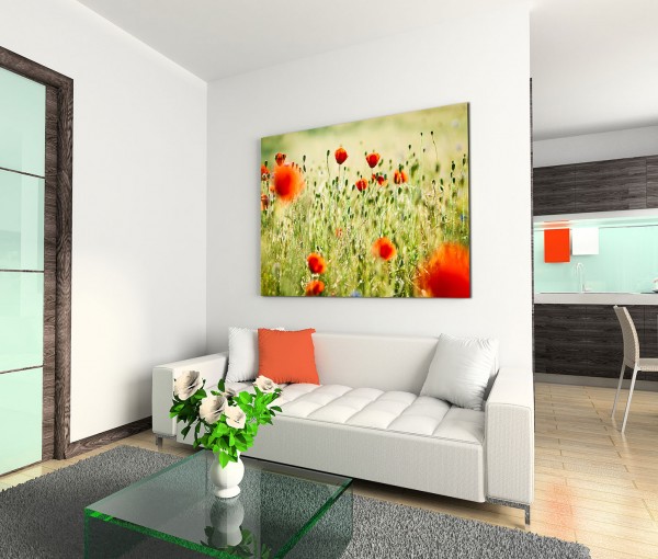 120x80cm Wandbild Wieso Mohnblumen Sommer