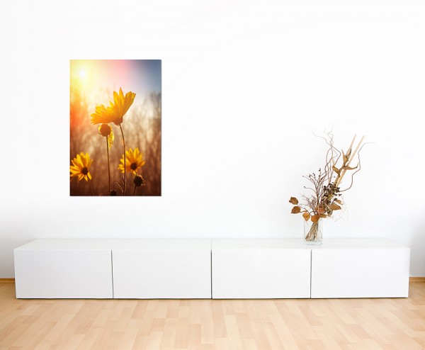 120x80cm Blume Blüte Sonnenaufgang Frühling