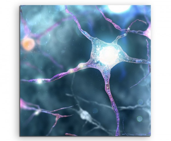 Neuronales Netzwerk Nerven auf Leinwand exklusives Wandbild moderne Fotografie für ihre Wand in viel