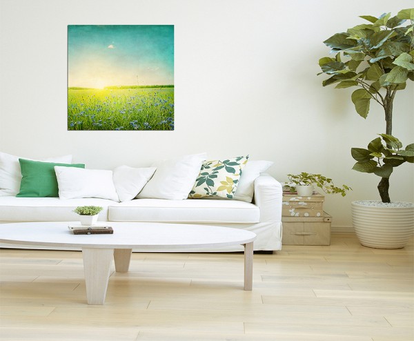 80x80cm Kornblumen Feld Sonnenuntergang Frühling