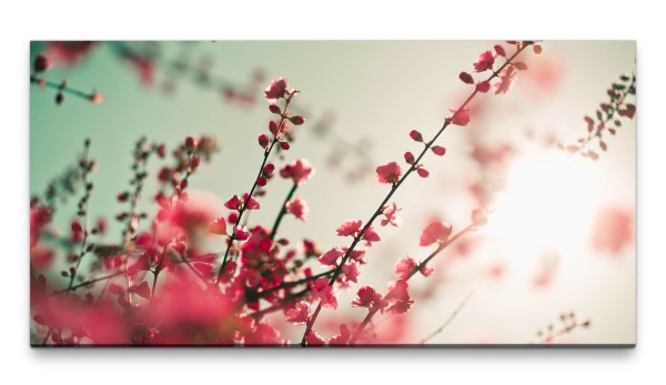 Bilder XXL Kirschblüten pink 50x100cm Wandbild auf Leinwand
