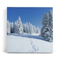 Winterlandschaft Tannen Schnee Weiß Natur
