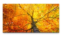 Bilder XXL Herbstlaub 50x100cm Wandbild auf Leinwand