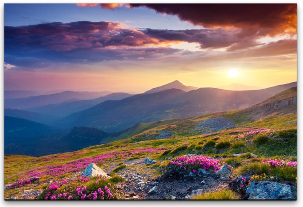 Landschaft mit Blumen Wandbild in verschiedenen Größen