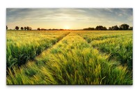 Bilder XXL Grünes Feld Wandbild auf Leinwand