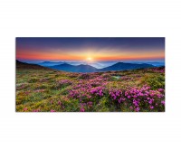 120x60cm Ukraine Blumenwiese Berge Sonne Natur
