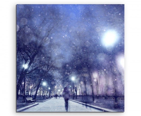 Landschaftsfotografie  Winternacht im Park auf Leinwand exklusives Wandbild moderne Fotografie für