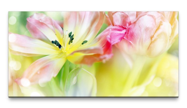 Bilder XXL Tulpenblüten 50x100cm Wandbild auf Leinwand