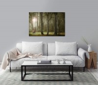 Wald mit Rehbock Wandbild in verschiedenen Größen