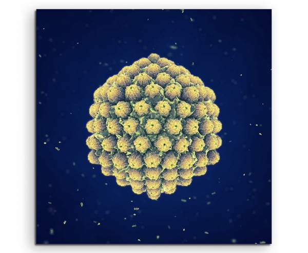 Wissenschaftliche Abbildung – Großabbild eines Herpesvirus auf Leinwand