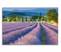 120x80cm Wandbild Provence Lavendelfeld Sommer Bäume Berge
