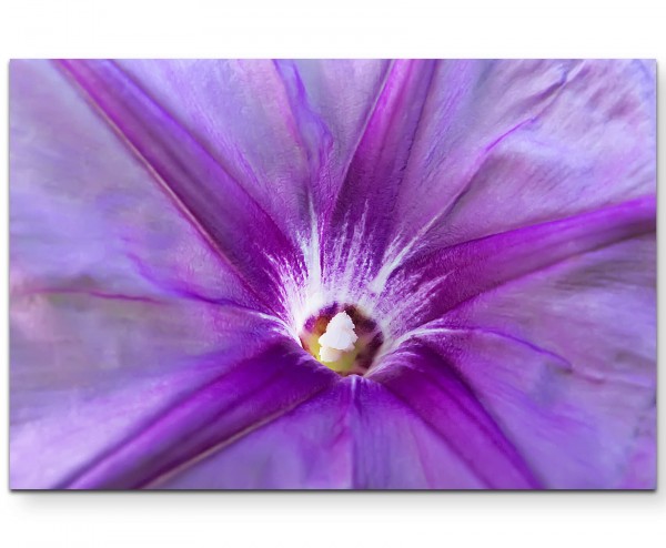 Frühling Fotografie einer lila Blüte - Leinwandbild
