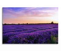 120x80cm Wandbild Provence Lavendelfeld Sommer Abendlicht