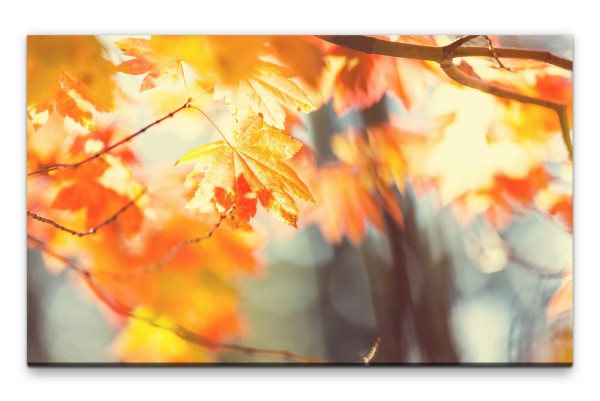 Bilder XXL Blätter im Herbst Wandbild auf Leinwand