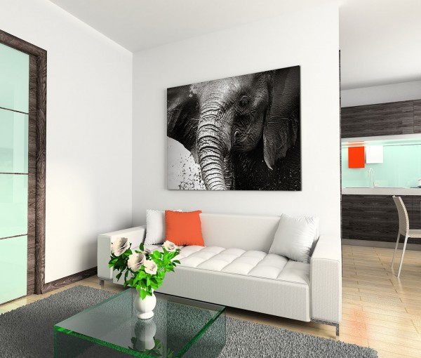 120x80cm Wandbild Namibia Nationalpark Elefant Wasser schwarz weiß