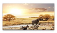 Bilder XXL Savanne in Afrika 50x100cm Wandbild auf Leinwand