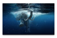 Bilder XXL Schwimmender Afrikanischer Elefant Wandbild auf Leinwand