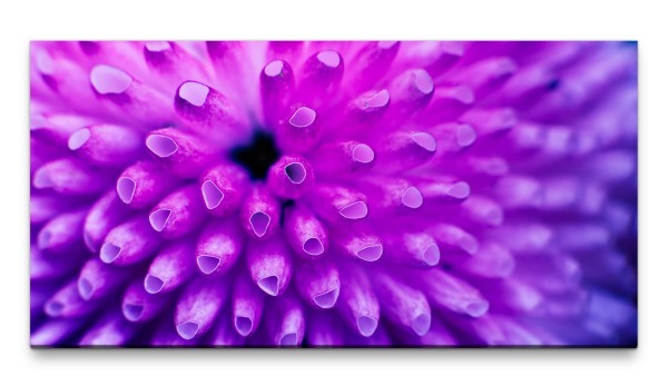 Bilder XXL Blütenstand lila Nahaufnahme 50x100cm Wandbild auf Leinwand
