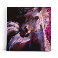 Pferd Wildpferd Mustang Kunstvoll Abstrakt Rosa